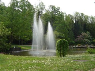 Img007